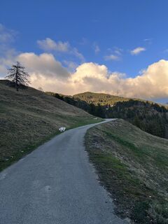 Foto von Bene Schadel entlang der Tour