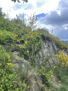 Fotografie z Olaf Mönig na trase