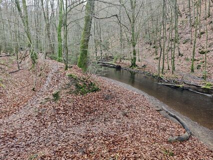 Zdjęcie z Björn Heun wzdłuż trasy