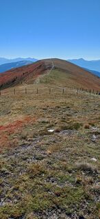 Fotografija s spletne strani Roland Rubenthaler na poti