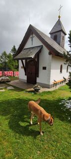 Foto von Goffertje entlang der Tour