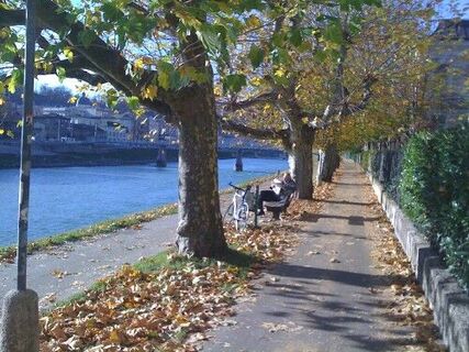 Weg entlang der Salzach