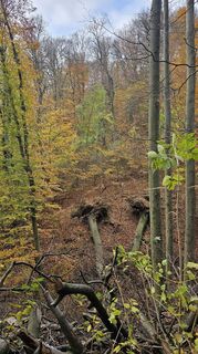 Foto von Alexandra Stani entlang der Tour