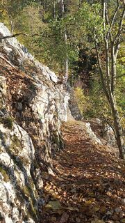 Foto von Bergpirat entlang der Tour