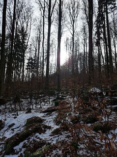 Photo de Schwartzhox le long du parcours