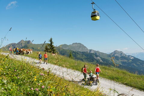 Wandern am Kinderwagenweg