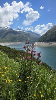 Photo de Monika Rohrer le long du parcours
