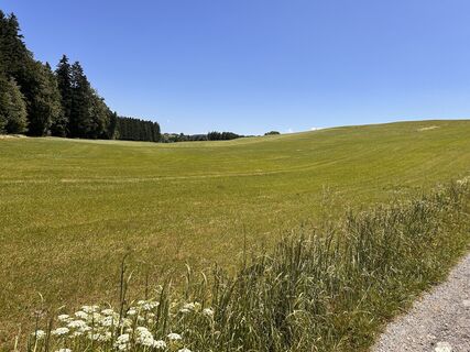 Fotografia z Kai Witthinrich na trase