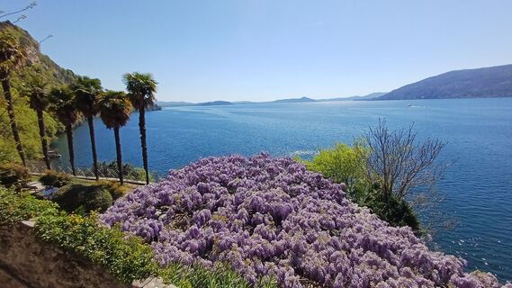 Fotografie z Volker Stähle na trase
