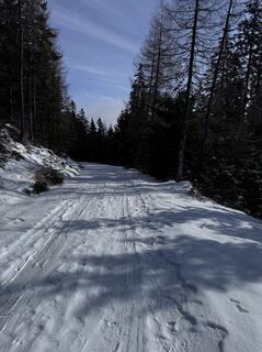 Foto da Gábor Steffer lungo il tour