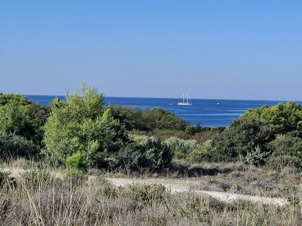 Fotografija s spletne strani Mayer na poti