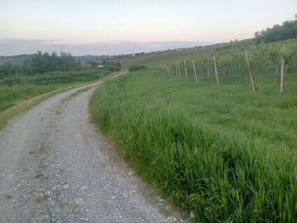 Photo de simone ravasi le long du parcours