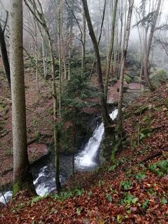 Foto von Wanderfux entlang der Tour