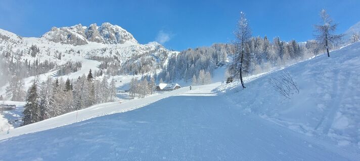 Foto von Nicky entlang der Tour