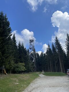 Photo de firebird 93 le long du parcours