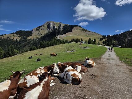 Photo de kilianrei le long du parcours