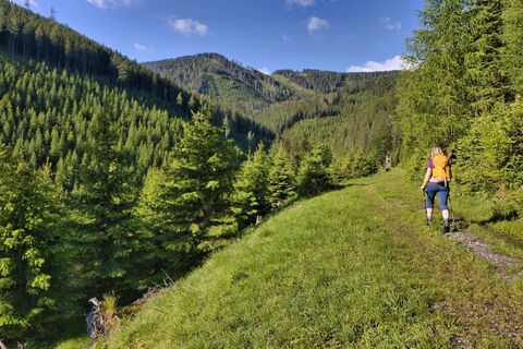 Aufstieg über aussichtsreiche Forstwege