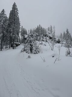 Fotografie z Jonas Weissthanner na trase