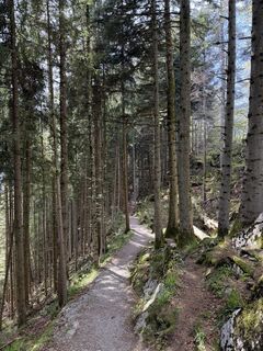 Foto von Dmitry Sotnikov entlang der Tour