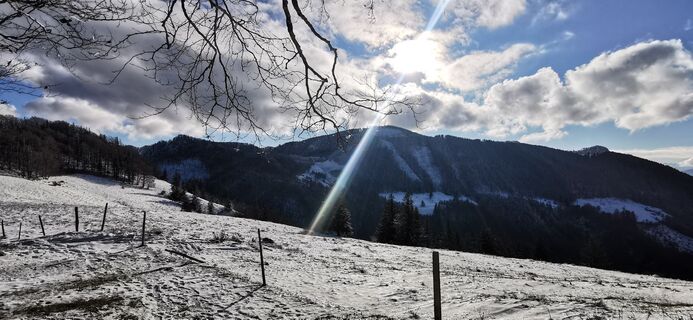 Fotografie de la Klaus Lehner de-a lungul turului