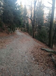 Foto von Daniel Kremiec entlang der Tour