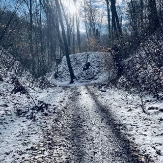 Foto de Bacskai János a lo largo del recorrido