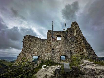 Fotografija s spletne strani Leo Fahrngruber na poti