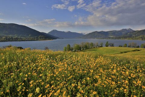 Blick von Kaltenbrunn auf den Tegernsee