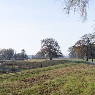 Deich entlang des Sudewiesen-Wegs