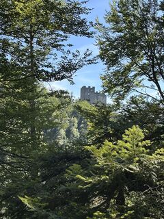 Kuva osoitteesta Cyrill Bischof matkan varrella