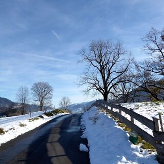 Der Weg hat die Sonnenterrasse in Goldegg erreicht.