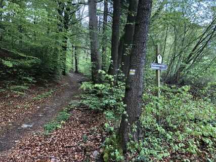 Abzweig zum Hermannsgrab