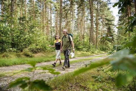 Wanderer in der Dahlener Heide