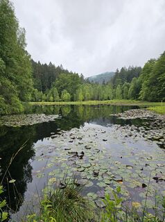 Foto von Angelika Gerung entlang der Tour