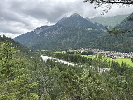 Photo de Grizzli le long du parcours