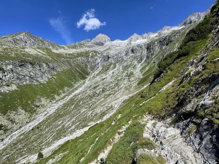 Fotografia z filbro na trase