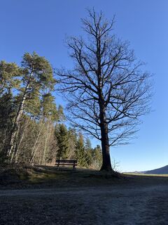 Foto von Andreas Vogel 1 entlang der Tour