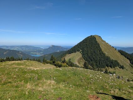 Foto von Pfefferam entlang der Tour