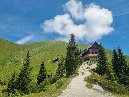 Fotografie z Grizli na trase