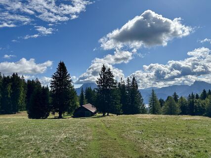 Fotografia z Manuel Leitner na trase