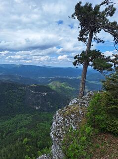 Fotografie de la Barbara Ballmüller de-a lungul turului