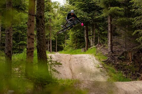 Flowtrails mit zahlreichen Jumps &amp; Tables