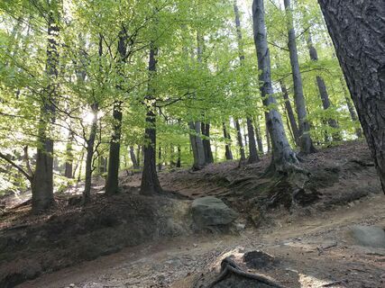 Fotografie z Poschacher na trase