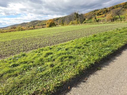 Fotografie de la Thomas Hillinger de-a lungul turului