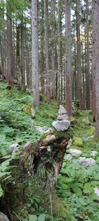 Fotografia z Lea na trase