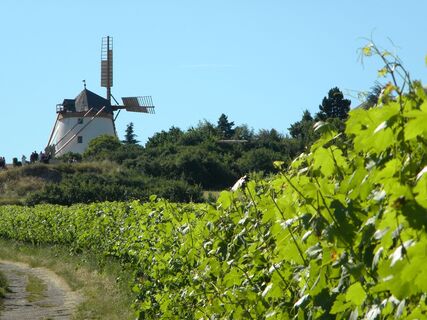 Retzer Windmühle
