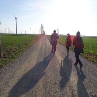 Wandergruppe am Jakobsweg