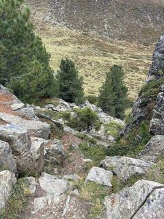 Photo de Sbrandt15 le long du parcours