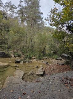 Fotografie z Sandra Hashagen na trase