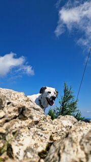 Foto von Elisabeth Rossa entlang der Tour